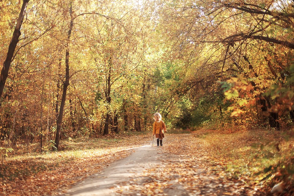 Photograph by Светлана Чепелюк