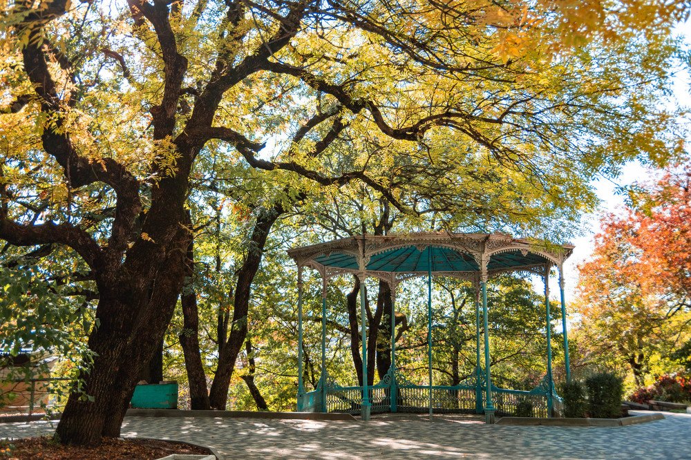 Photograph by Людмила Шафрай