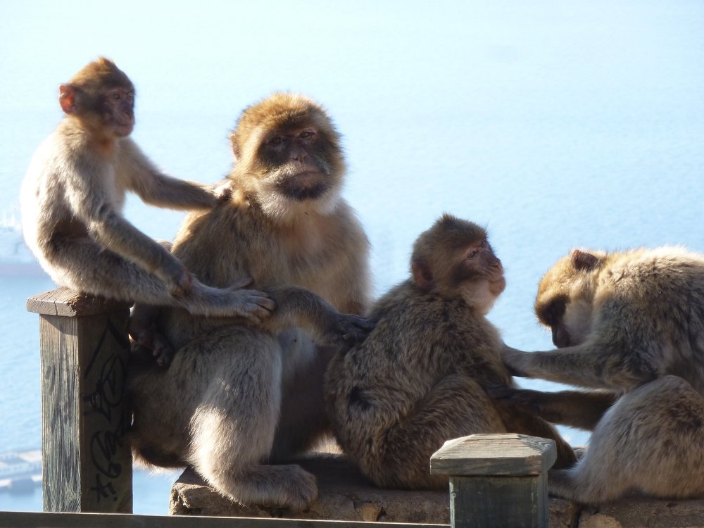 Photograph by оксана