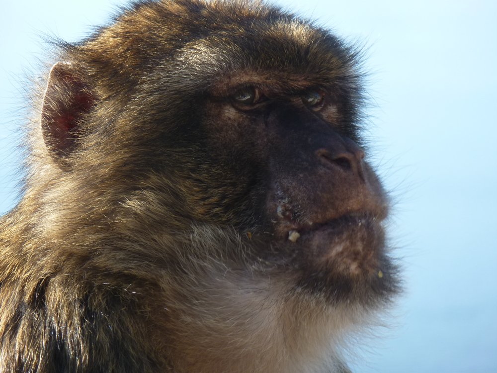 Photograph by оксана