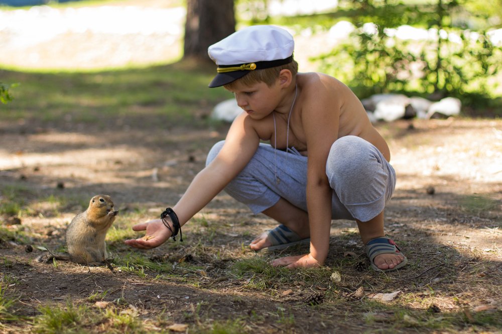 Photograph by Александр Лапшин