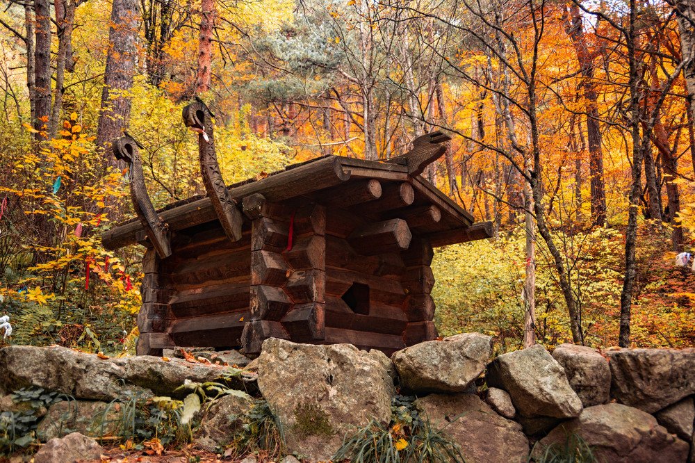 Photograph by Людмила Шафрай