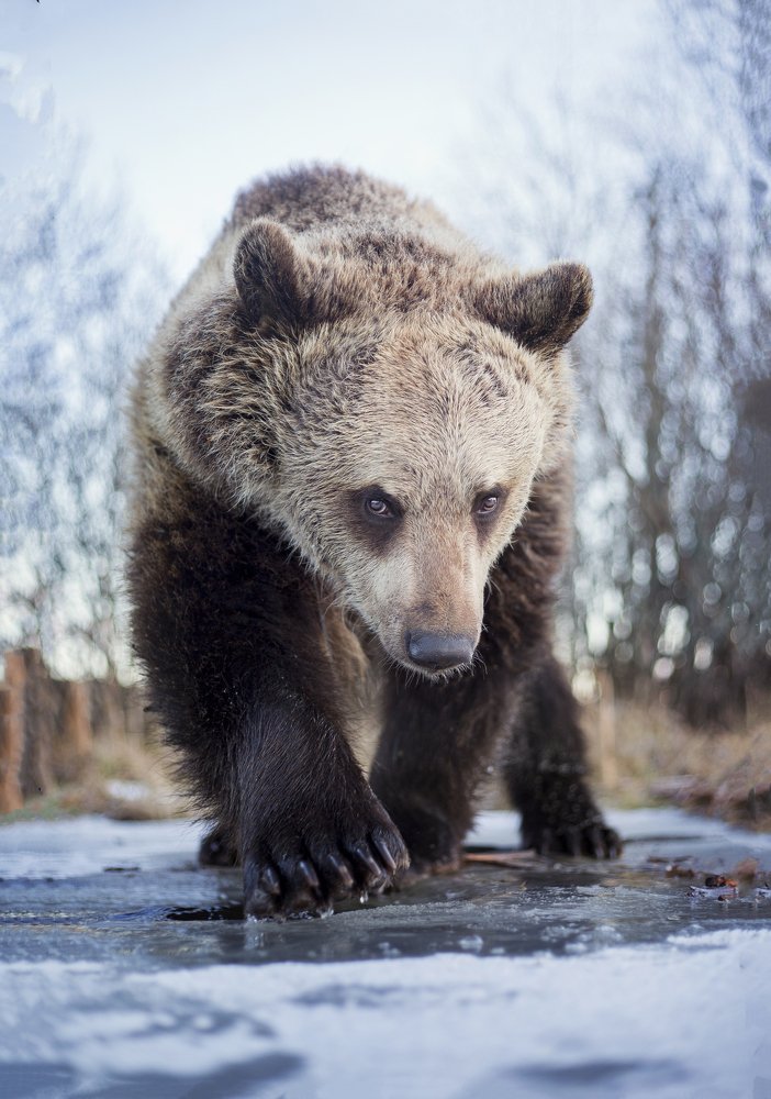 Photograph by Anna Yarkova