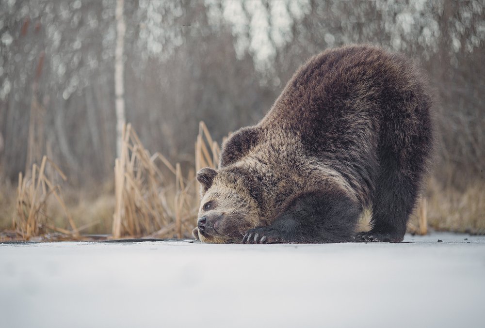 Рыбы, вы уже спите?