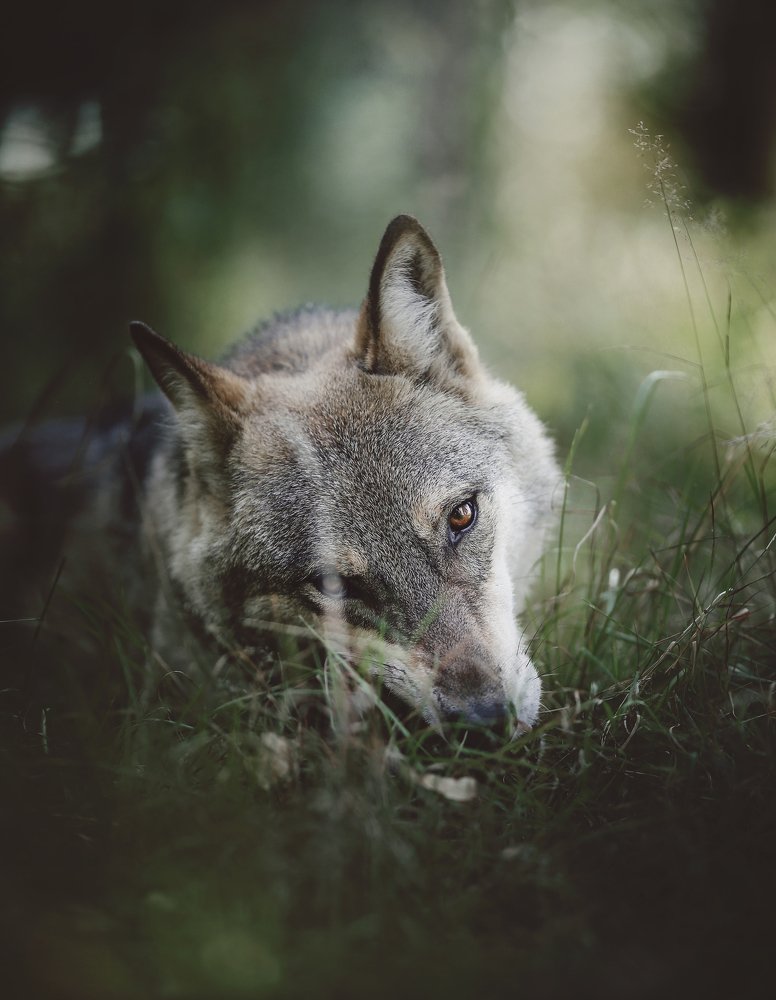 Photograph by Anna Yarkova