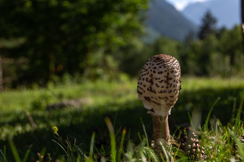 Photograph by Людмила Шафрай