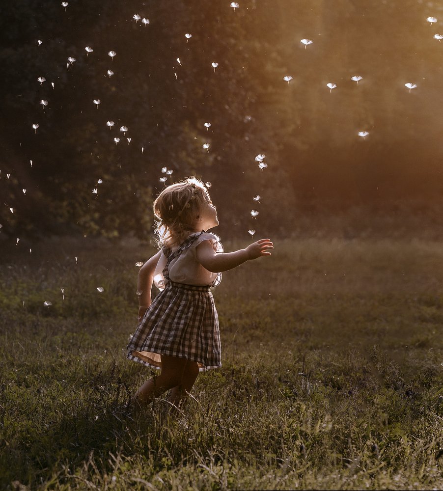 Photograph by Amalia Zilio