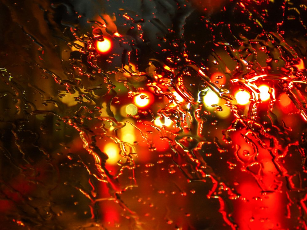 Photograph by Gabrijela Pavičić