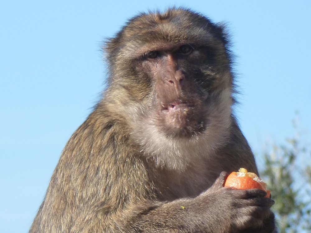 Photograph by оксана