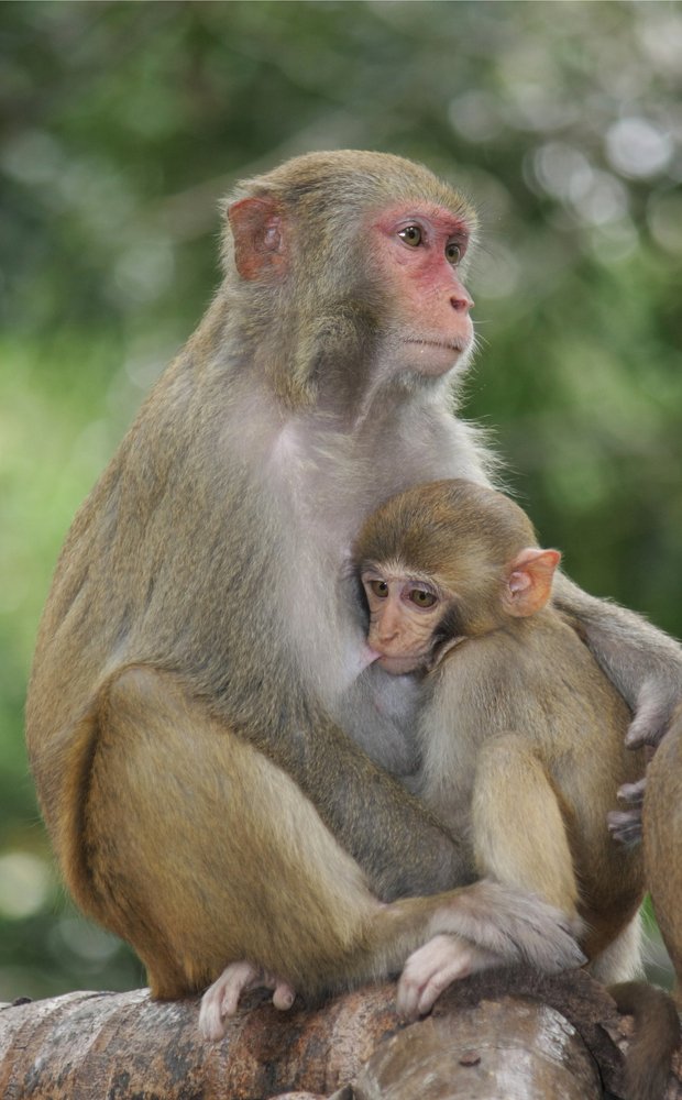 Фотография автора Татьяна Ливеровская