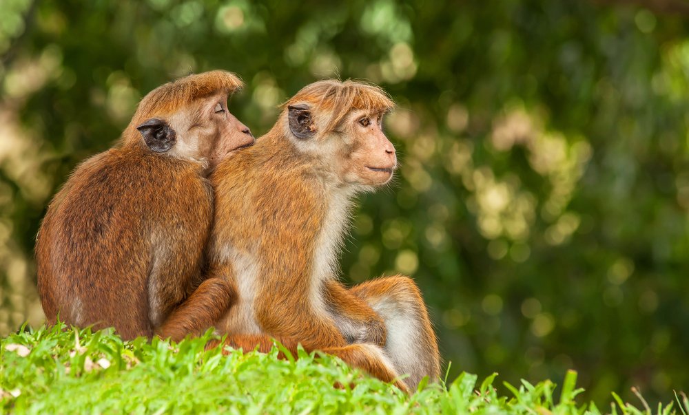 Фотография автора Димитрий Евтушик