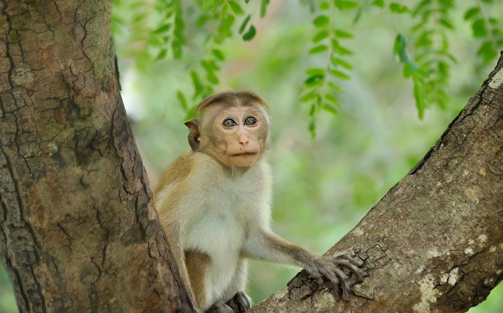 Фотография автора Димитрий Евтушик