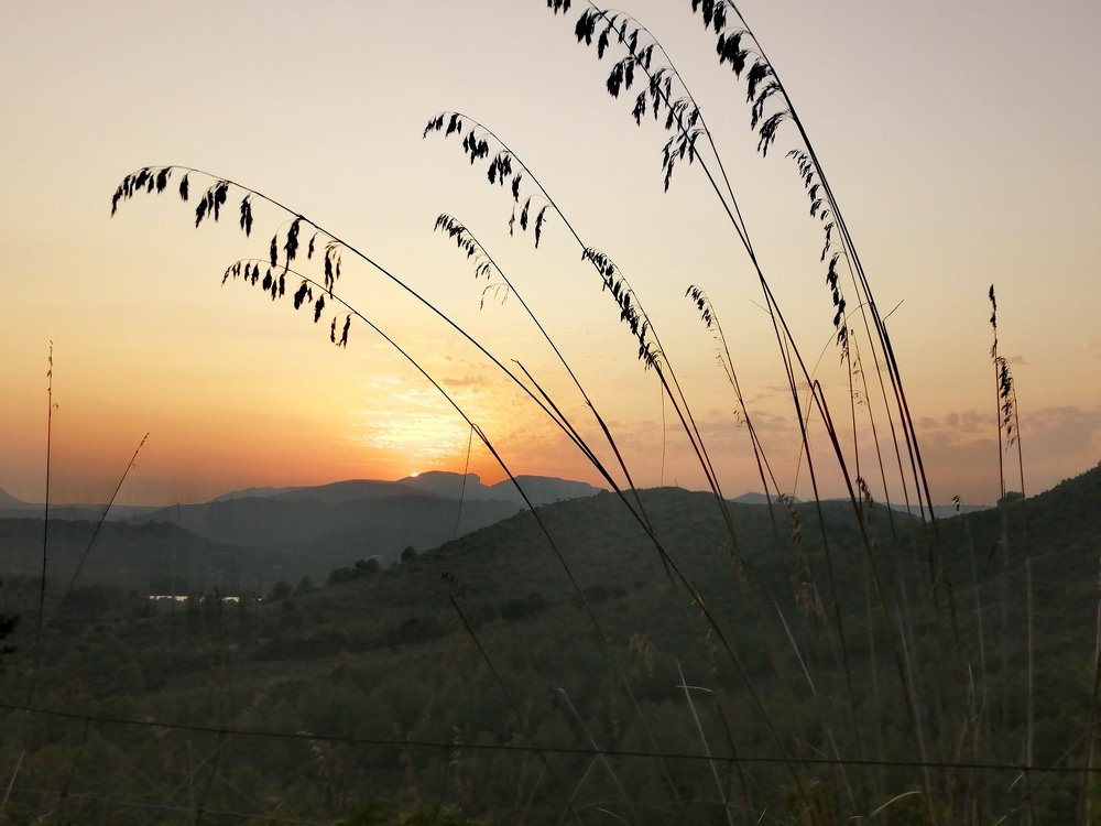 Фотография автора Алла Роденко