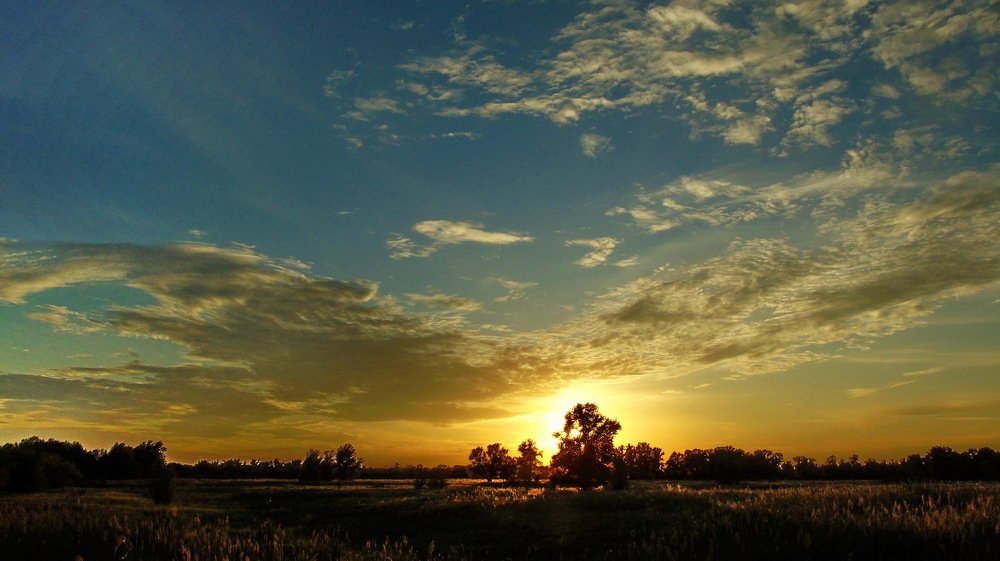 Закат в займище