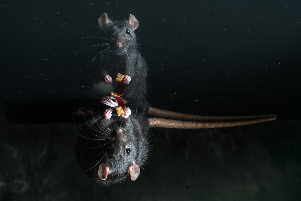 Photograph by Алексей Михайлов