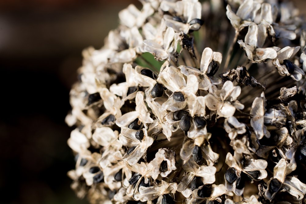 Photograph by Михаил Магид