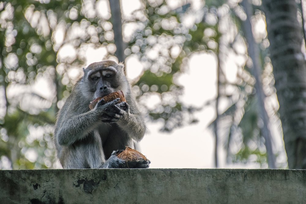 Photograph by Наталия Мостовая