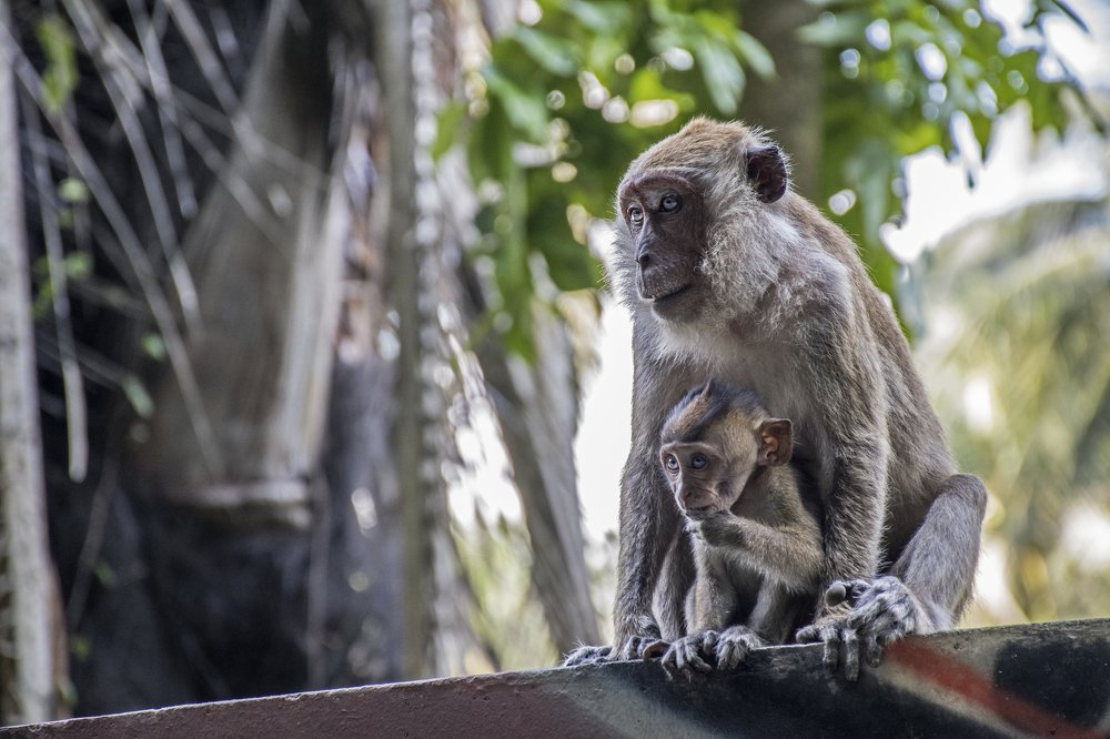 Photograph by Наталия Мостовая