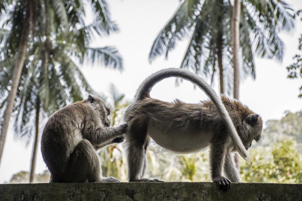 Photograph by Наталия Мостовая