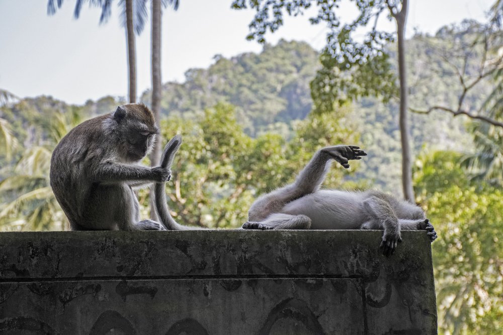 Photograph by Наталия Мостовая
