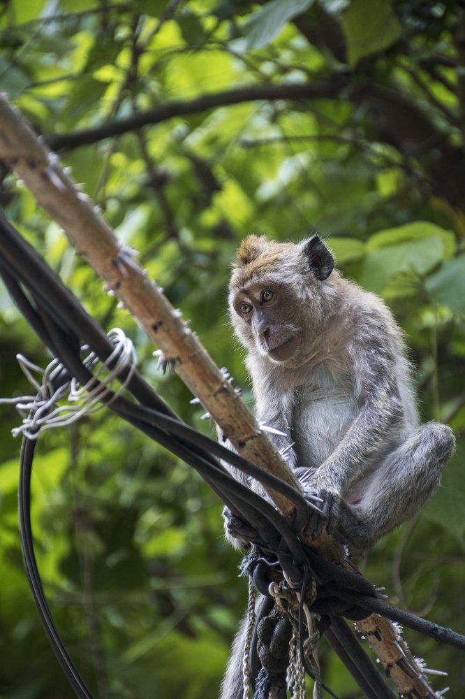 Photograph by Наталия Мостовая