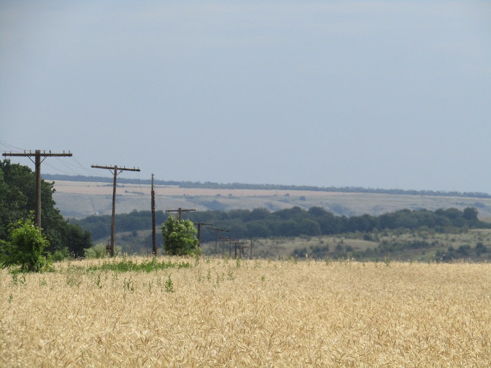 Photograph by Анна Мостовая