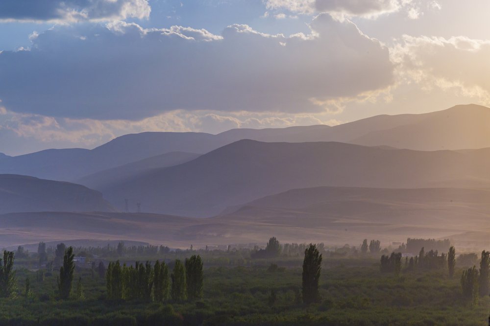 Photograph by Chia Hasankhali