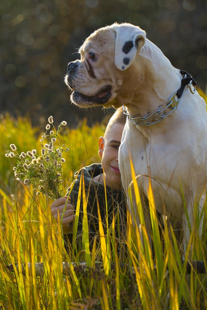 Photograph by Наталья Санталова