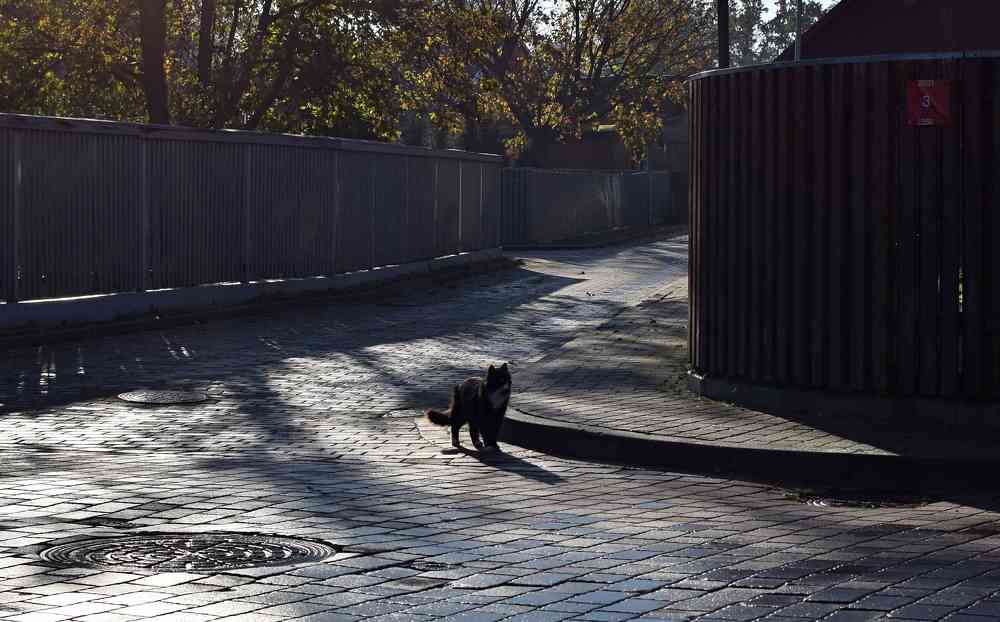 Photograph by Aleksandra Bistrova