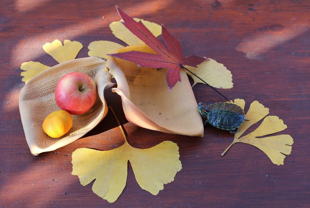 Photograph by Николай Немчанинов