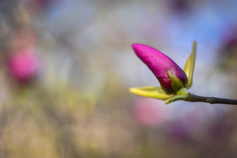 Photograph by Василий Ярошенко