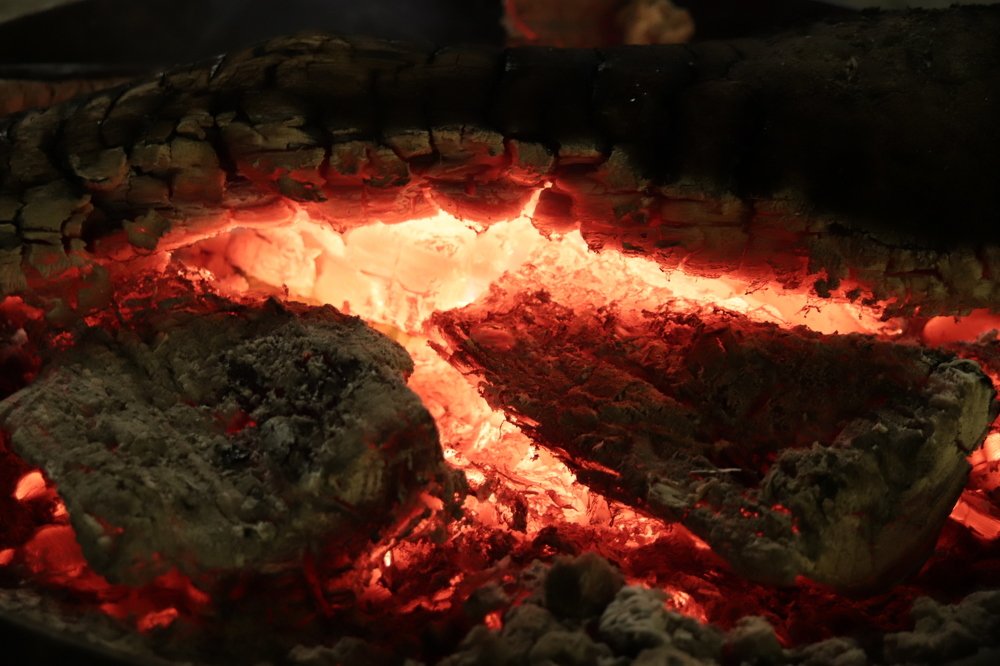 Photograph by Fernanda Martins