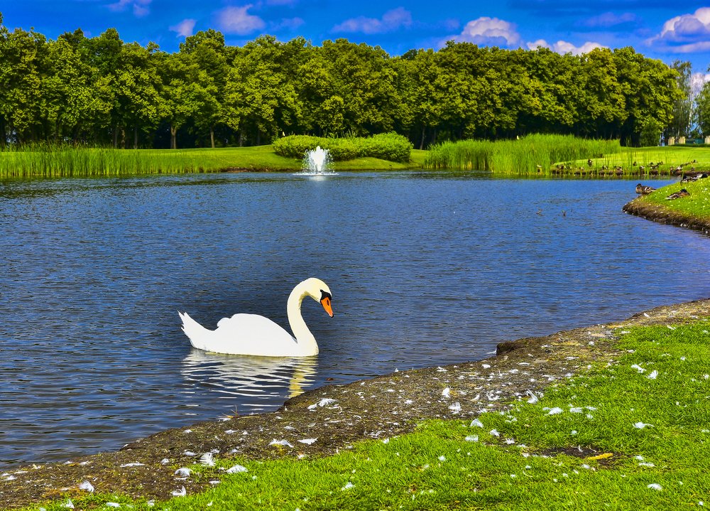 Photograph by Василий Ярошенко