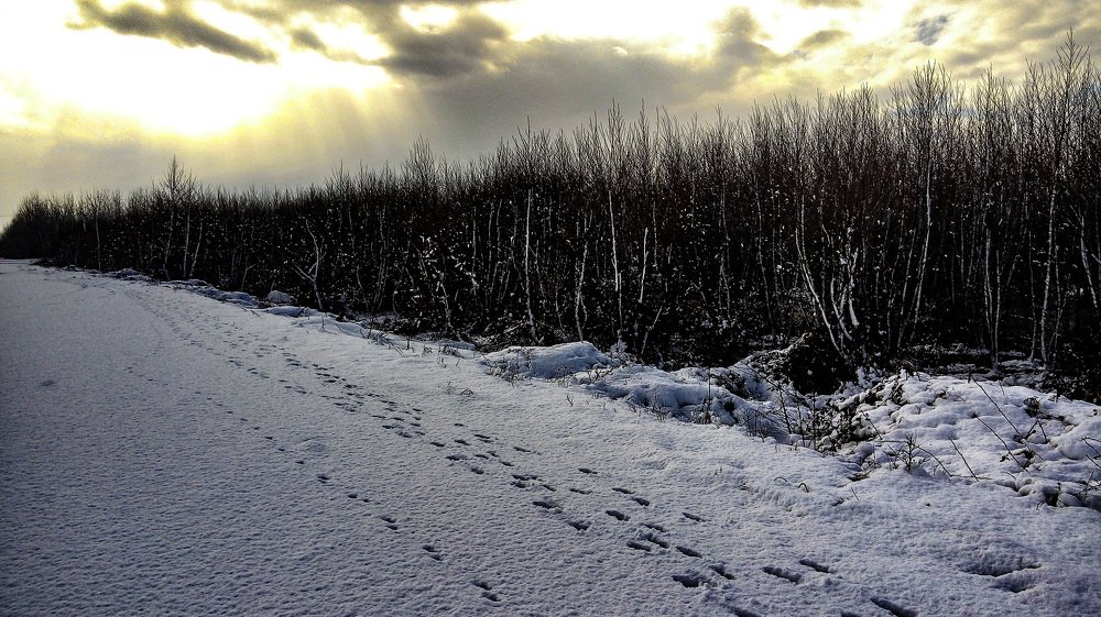 Photograph by Ramin Famildoost