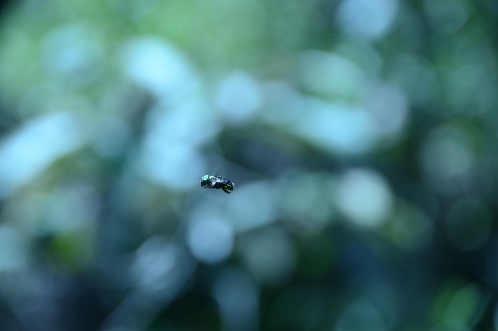 Photograph by John Quiroga