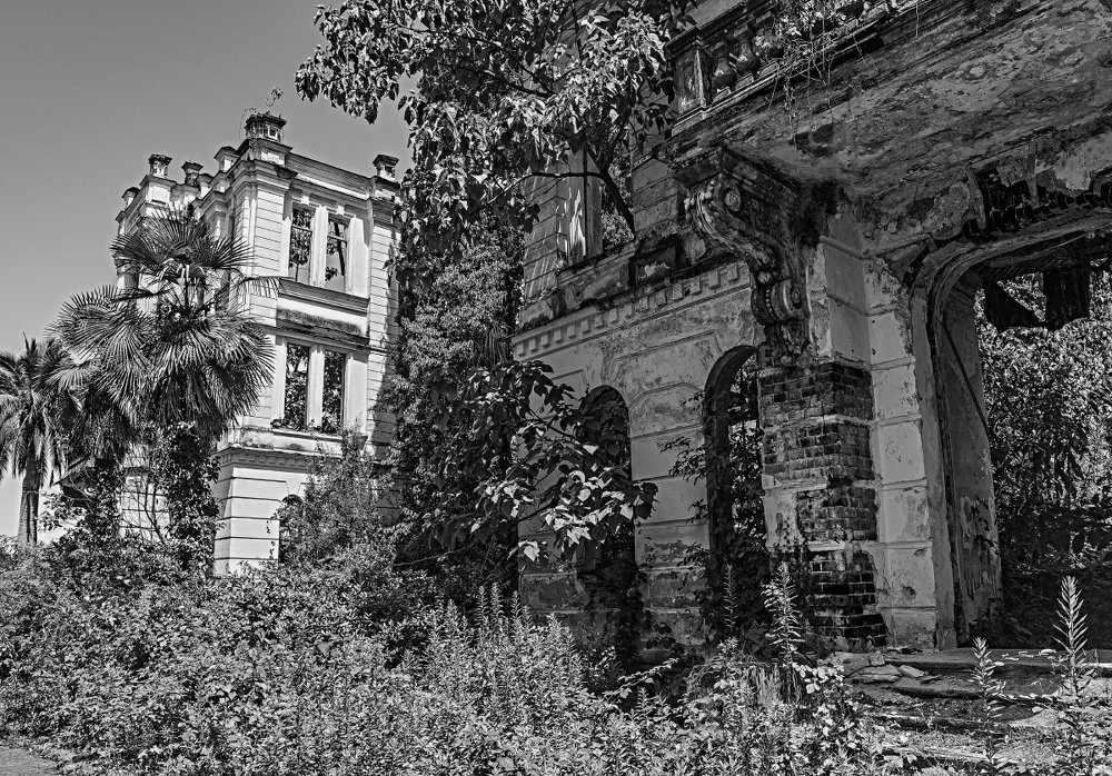 Photograph by Vitaly