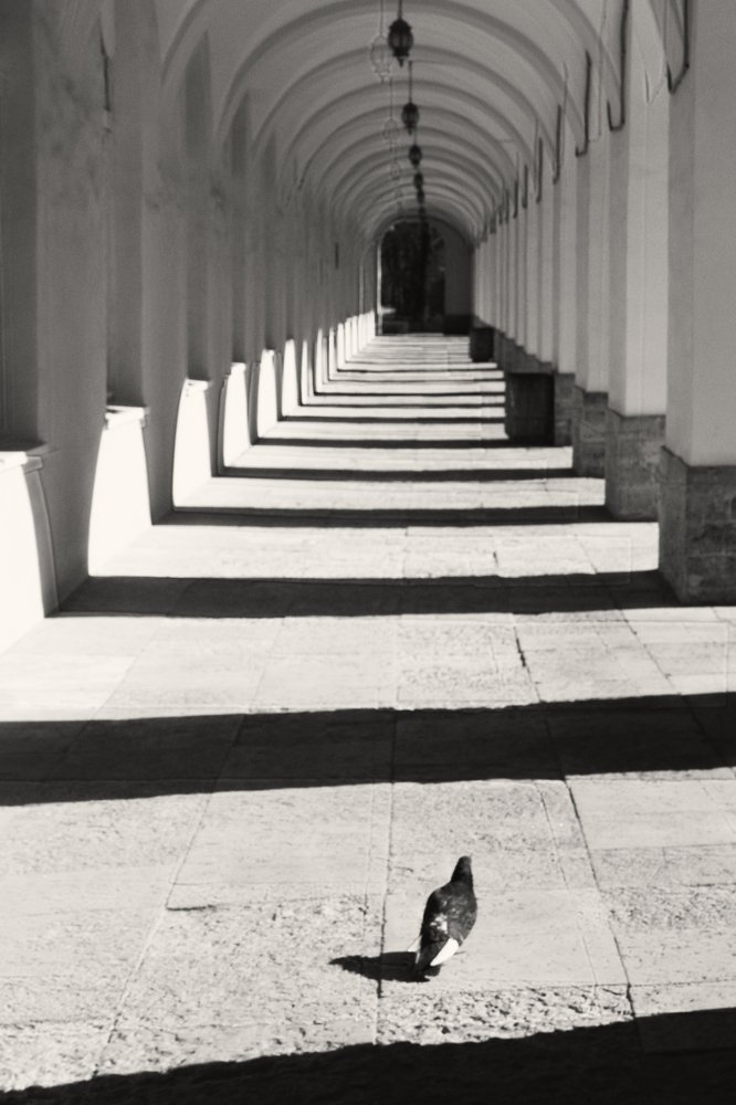 Photo #4019934