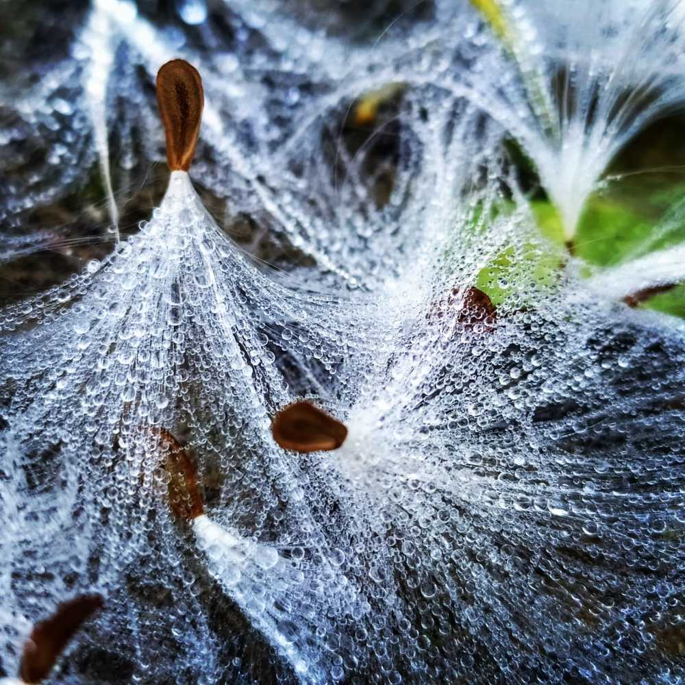 Летнее утро