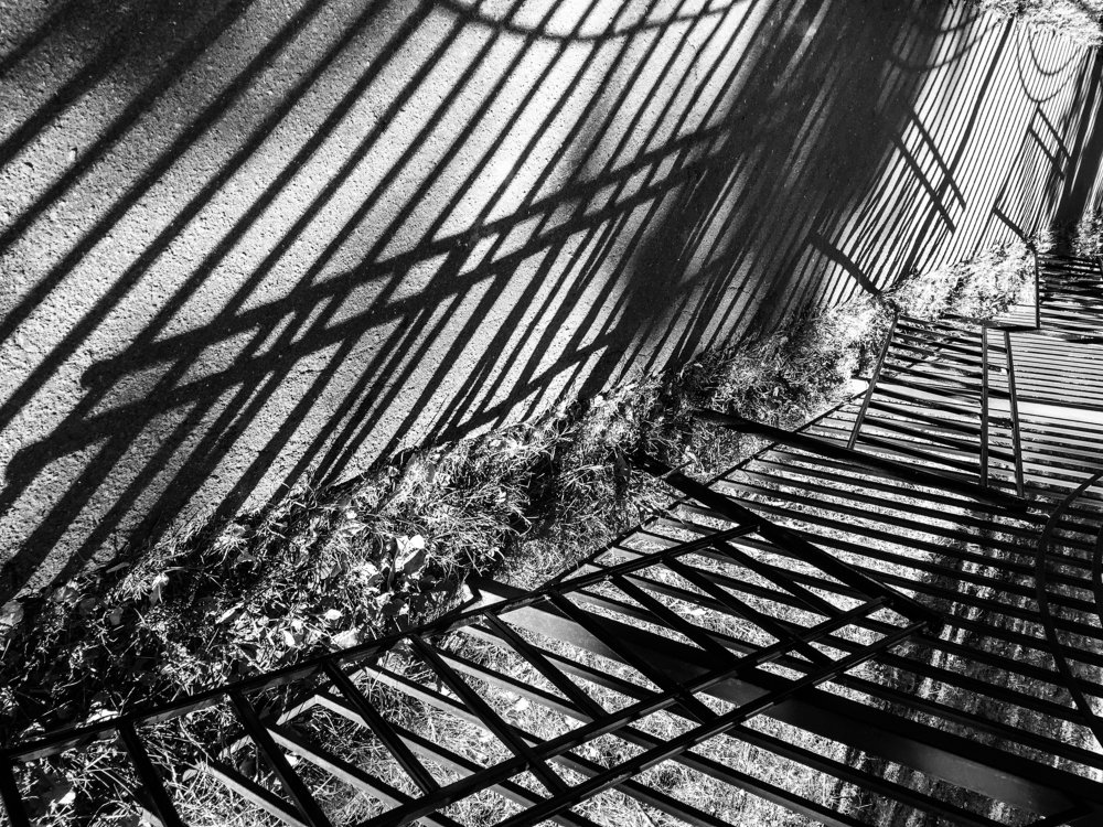 Photograph by Анастасия Ломаева