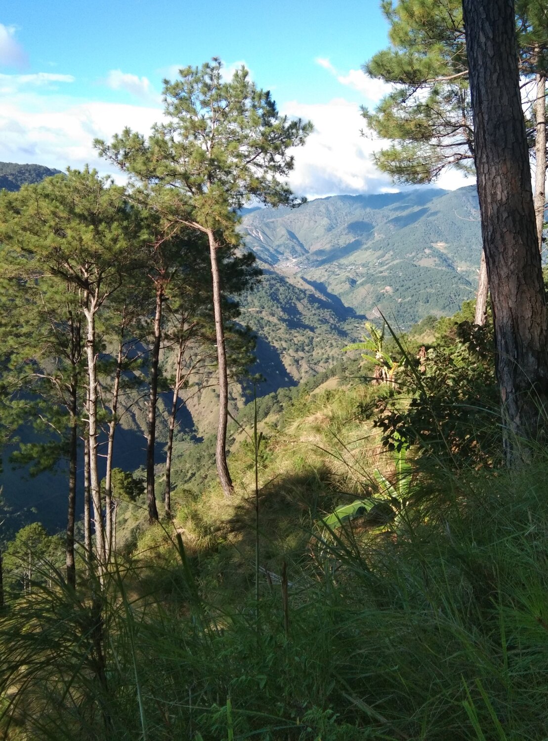 Photo #4020039