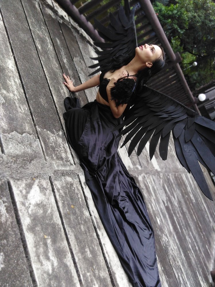 Photo #4020067