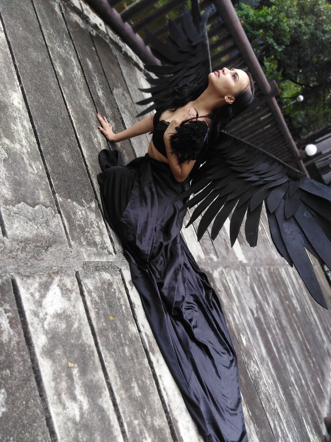 Photo #4020067
