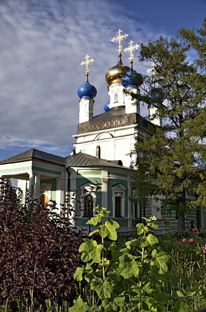 Photograph by Stevo Dragić