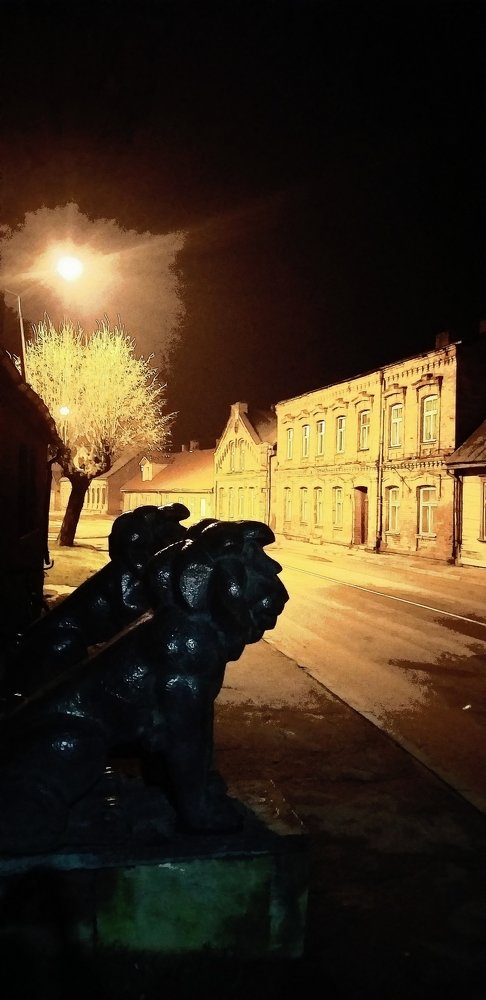 Photograph by Aigars Neļķe