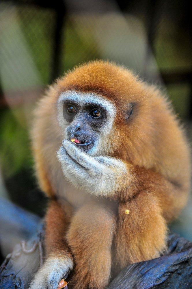 Photograph by Анастасия Ломаева