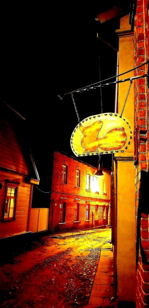 Photograph by Aigars Neļķe