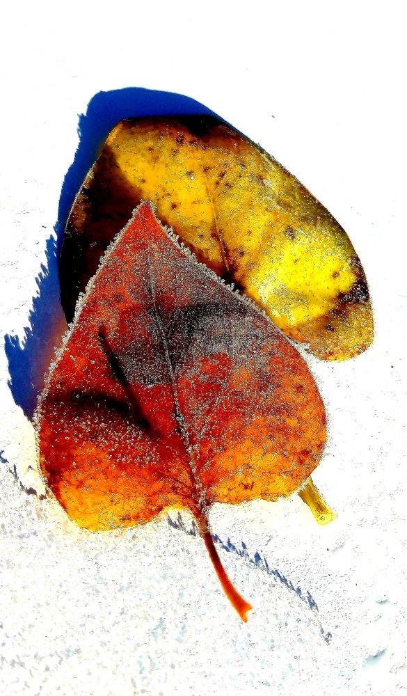 Photograph by Aigars Neļķe