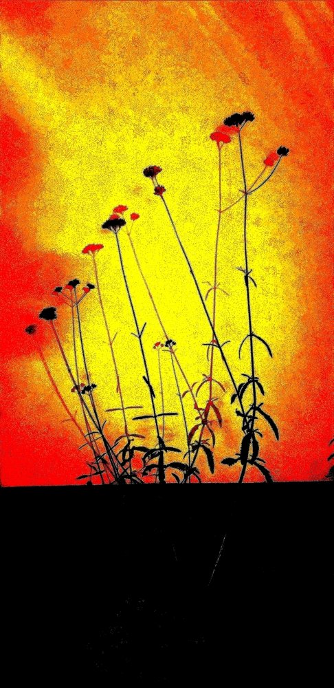 Photograph by Aigars Neļķe