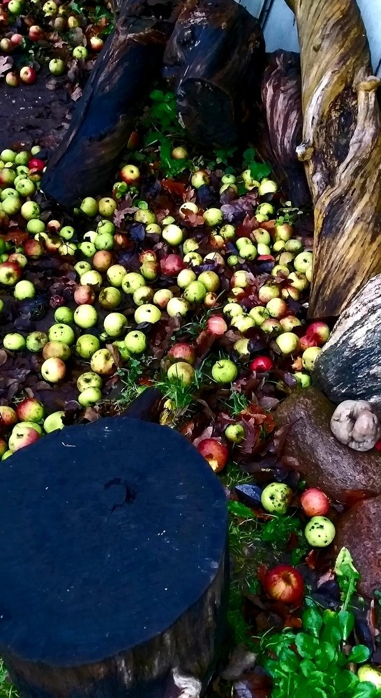 Photograph by Aigars Neļķe