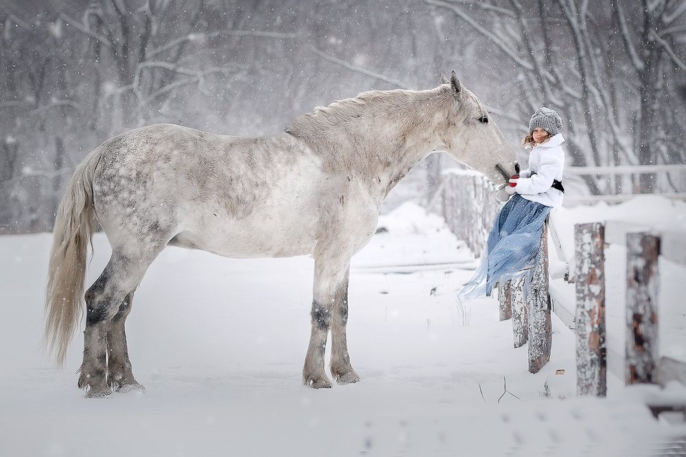 Photograph by Julia Moiseenko